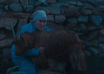 Zaya in The Wolves Always Come At Night