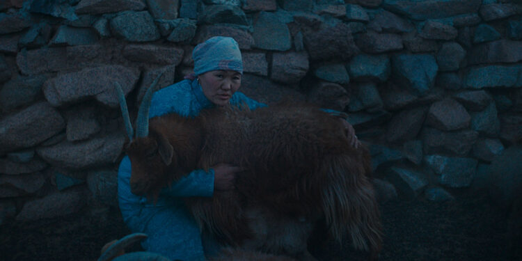 Zaya in The Wolves Always Come At Night