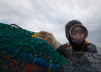A haenyeo diver of South Korea’s Jeju Island in “The Last of the Sea Women.”