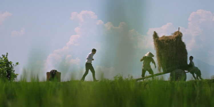 A still form the documentary Ba's Book of a man in a field walking towards two workers lifting a bale of hay