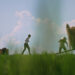 A still form the documentary Ba's Book of a man in a field walking towards two workers lifting a bale of hay